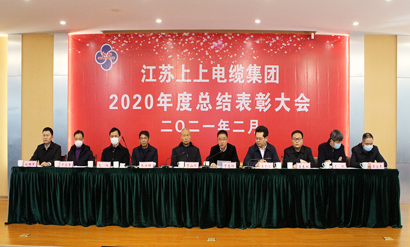 尊龙凯时电缆视频直播召开2020年总结表扬大会